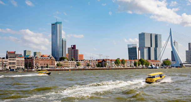 Red carpet tv show rotterdam partners