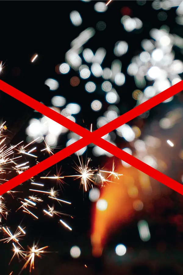 Vuurwerkmanifest 2023 &ndash; 2024