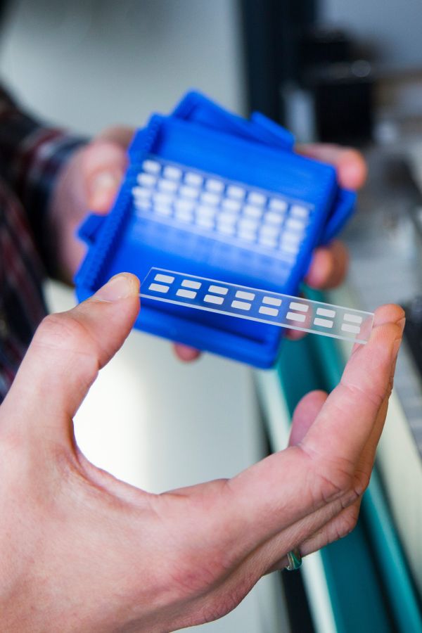 Afdeling Viroscience - Erasmus MC